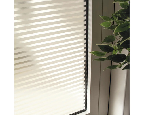 Fenêtre avec film d''intimité à rayures