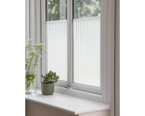 Fenêtre avec stores plissés, plante en pot et vase de fleurs sur le rebord de la fenêtre