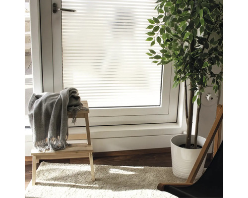 Pièce avec film pour fenêtre, tabouret, couverture et plante d''intérieur