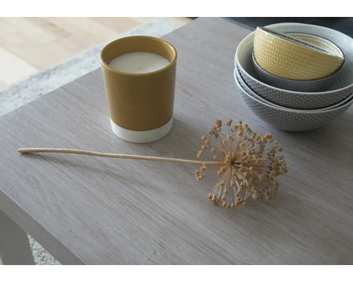 Arrangement décoratif avec bougie, ail d''ornement et bols sur une table