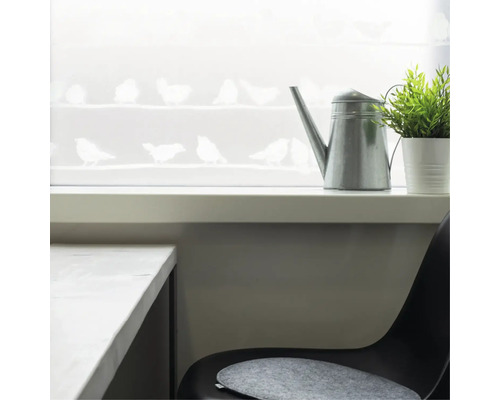 Fenêtre décorative avec motifs d''oiseaux, arrosoir et plante dans une pièce lumineuse.