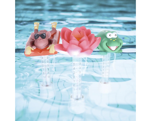 Schwimmbadthermometer in Form eines Affen, einer Lotusblume und eines Frosches