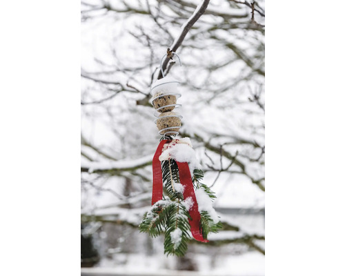 Vogelhaus mit Futter und Dekoration im Winter