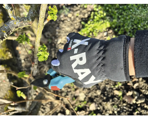 Une personne coupe un buisson avec un sécateur tout en portant des gants de jardin.