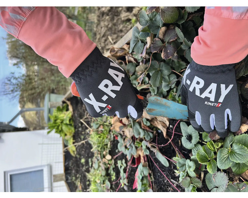 Des gants de jardin portant l''inscription X-Ray sont portés lors du jardinage.
