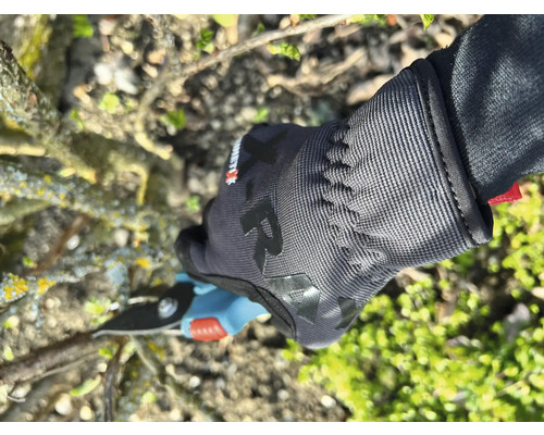 Une personne coupe une branche avec un sécateur tout en portant des gants de jardinage.