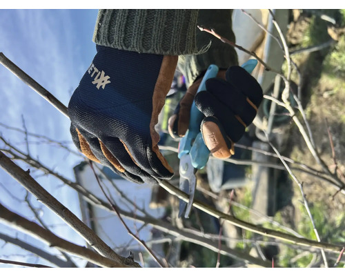 Gartenschere schneidet Äste mit Gartenhandschuhen