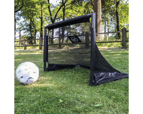 But de football avec filet et ballon sur une pelouse