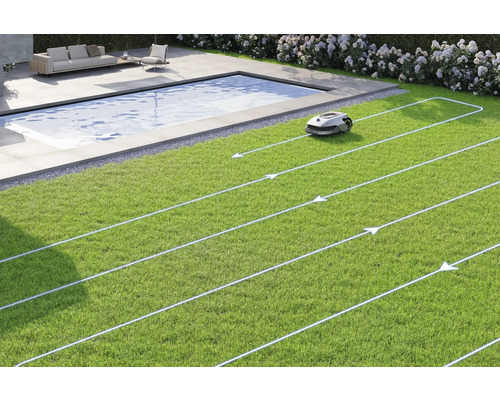 Rasenmähroboter auf Rasenfläche mit Begrenzungskabel
