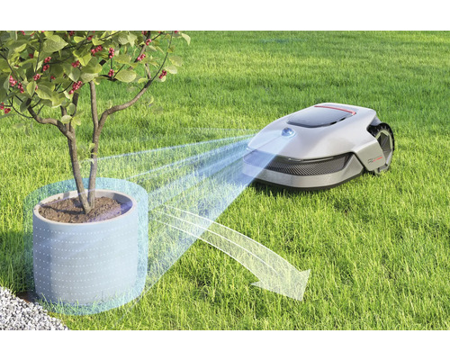 Rasenroboter mit Hinderniserkennung umfährt Baum im Topf auf Rasenfläche