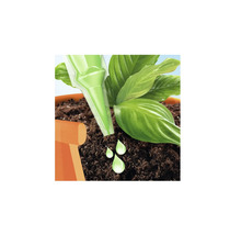 Gesal Revitalisant plantes vertes 5x30ml