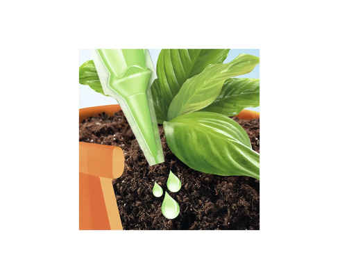 Illustration d''une plante en pot avec arrosage