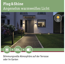Beleuchteter Gartenweg mit warmweißem Licht