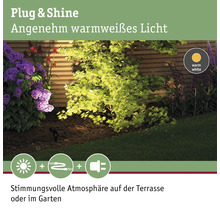 Paulmann Plug & Shine LED Spot mit Erdspiess IP67 6W 270 lm 3000 K warmweiss HxØ 290x52 mm Sting anthrazit 230/24 V-thumb-9