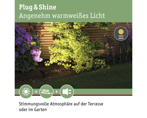 Garten mit warmweisser Beleuchtung und Pflanzen