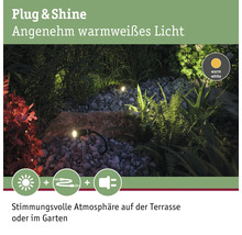 Paulmann Plug & Shine LED Spot mit Erdspiess IP65 1,4W 90 lm 3000 K warmweiss HxØ 223x21 mm Plantini anthrazit 230/24 V-thumb-6