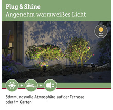 Paulmann Plug & Shine LED Erdspiess IP65 3,5W 240 lm 3000 K warmweiss Pike anthrazit HxØ 310x50 mm 230/24 V-thumb-8