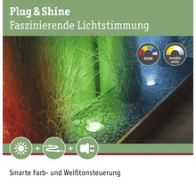 Paulmann Outdoor Plug & Shine BodenEBL IP65 RGBW 24V ZigBee-thumb-4