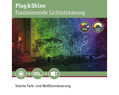Éclairage de jardin Plug and Shine avec changement de couleur et contrôle de la balance des blancs pour une ambiance lumineuse fascinante.