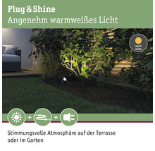 Garten mit Pflanzen und warmweisser Gartenbeleuchtung