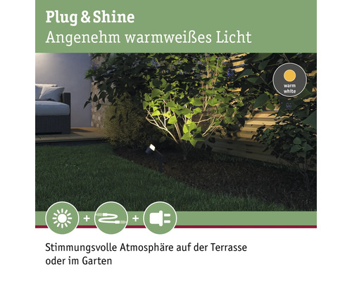 Garten mit Pflanzen und warmweisser Gartenbeleuchtung