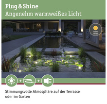 Beleuchteter Gartenteich mit warmweissem Licht