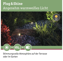 Paulmann Plug & Shine LED Spot mit Erdspiess Plantini Set 2 W 180 lm anthrazit IP65 Ø 2.1 cm-thumb-5