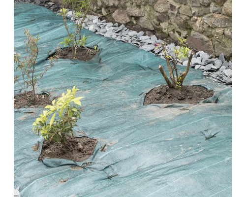 Garten mit Unkrautvlies und neu gepflanzten Pflanzen