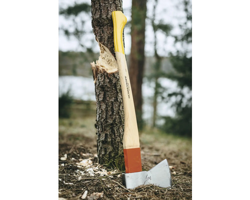 Hache à fendre le bois contre un tronc d''arbre