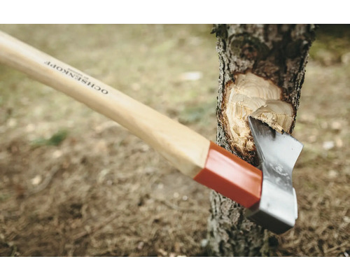 Hache à fendre Ochsenkopf en utilisation sur un tronc d''arbre