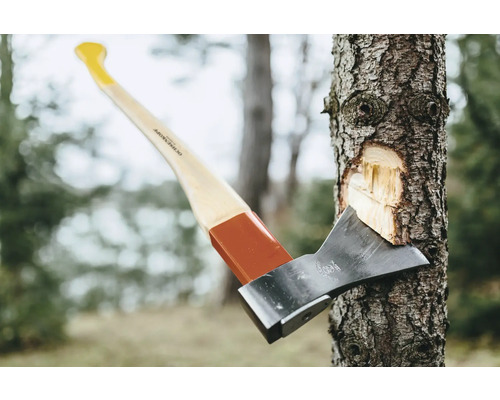 Hache forestière dans une bûche avec manche en bois et tête de hache