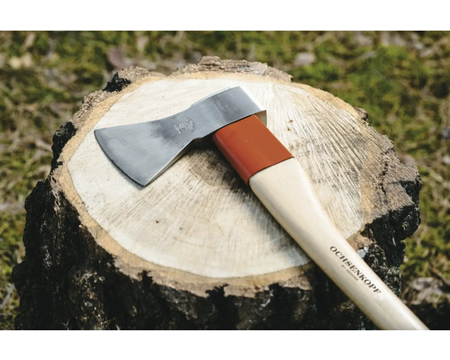 Hache Ochsenkopf sur une souche d''arbre