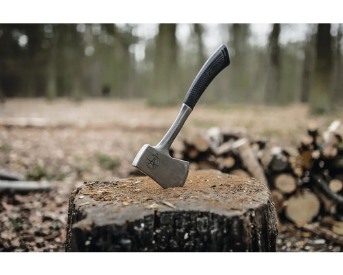 Hache à fendre dans une souche d''arbre