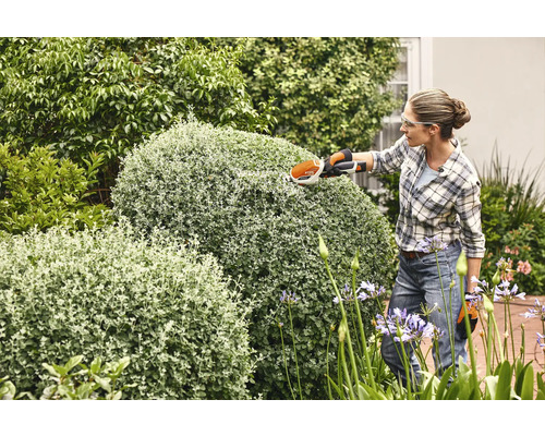 Frau schneidet Büsche mit einer Strauchschere im Garten.