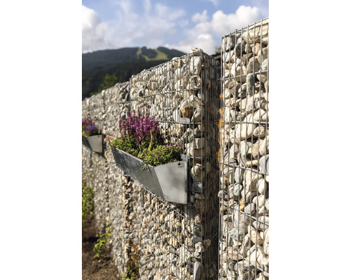 Mur de gabions avec jardinière plantée dans le jardin