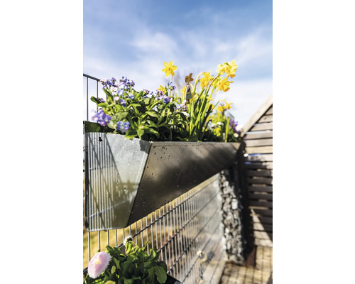 Jardinière avec fleurs de printemps fixée à la clôture