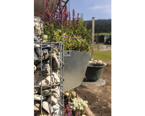 Gabion avec bac en acier galvanisé planté et fleurs violettes