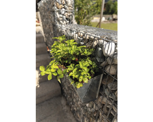 Mur de gabions avec jardinière plantée