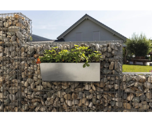 Mur de gabions avec jardinière rectangulaire plantée.