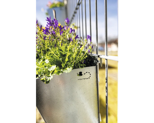 Jardinière en métal avec des campanules violettes sur la clôture