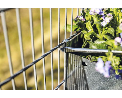 Gros plan d''une jardinière sur la balustrade avec des plantes fleuries.