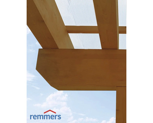 Vue détaillée d''une structure en bois avec des plaques de toit transparentes et le logo Remmers