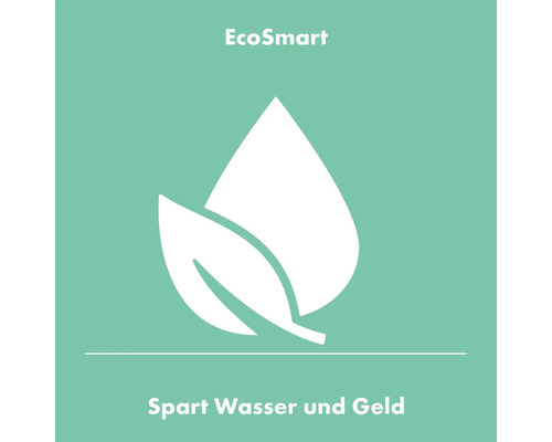 Symbole EcoSmart : Économise l’eau et de l’argent