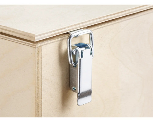 Vue détaillée d''une caisse en bois avec fermeture métallique