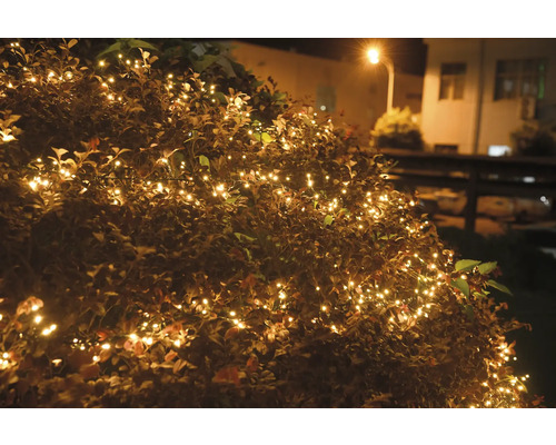 Arbuste décoratif avec guirlande lumineuse à l''extérieur