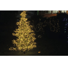 Arbre de Noël illuminé à l''extérieur