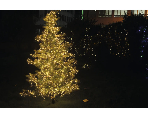 Arbre de Noël illuminé à l''extérieur