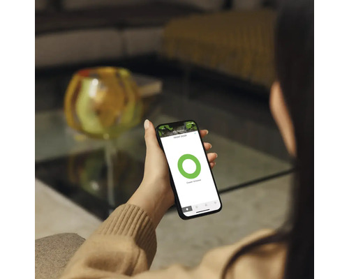 Frau hält ein Smartphone mit Sicherheitsanwendung in der Hand