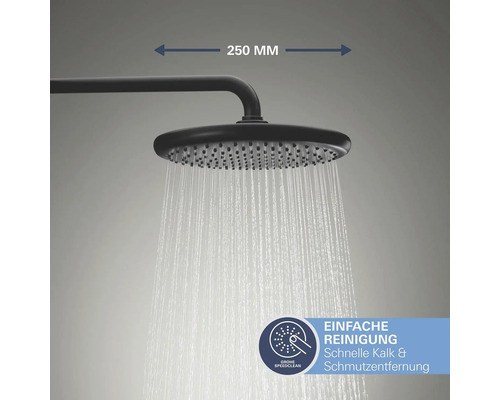 Pomme de douche avec fonction anticalcaire et une longueur de 250 millimètres.
