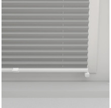 Graues Plissee-Faltrollo am Fenster